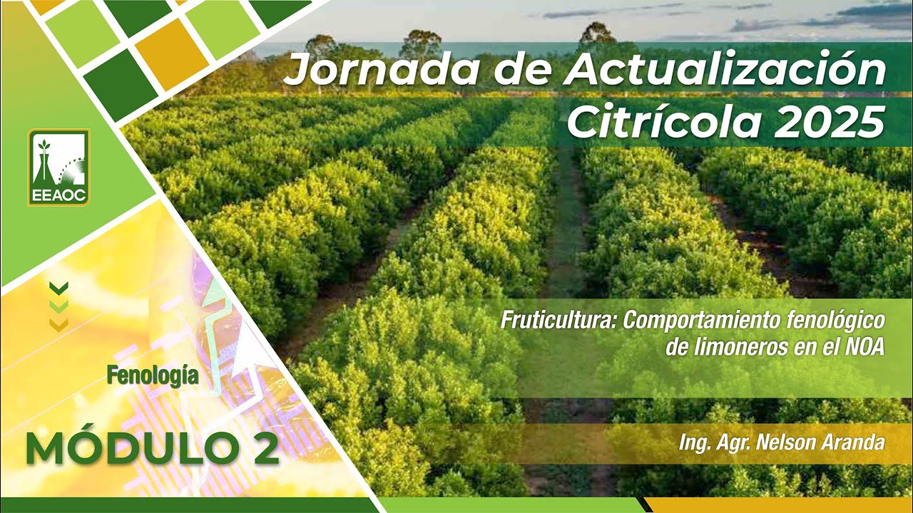 5- Fruticultura. Comportamiento fenológico de limoneros en el NOA. Nelson Aranda.