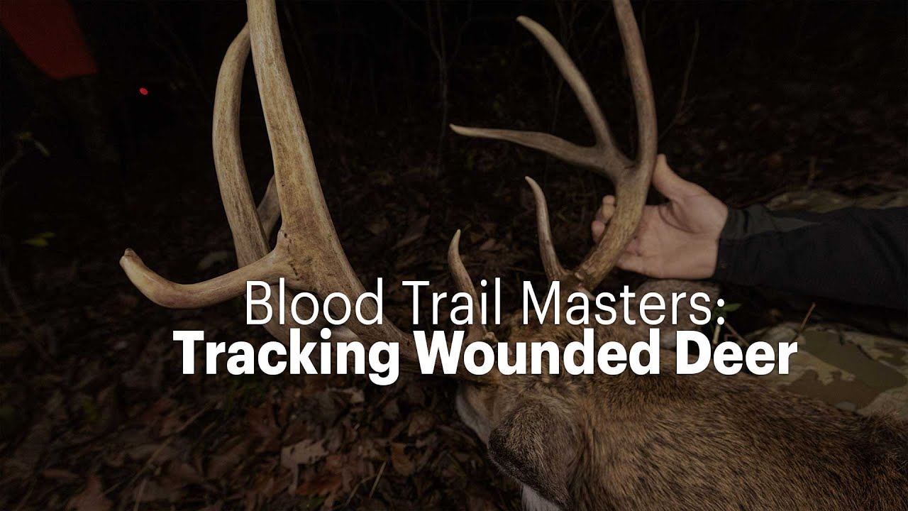 Blood Trail Masters: Tracking Wounded Deer with Dogs in Texas & Georgia