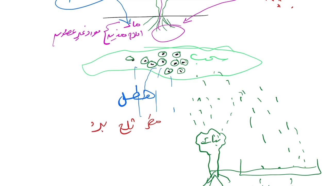 تدوير المواد ( علم البيئة 1446 )