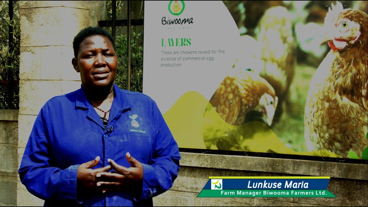 How Hendrix Concentrates Transformed Biwooma Farm || Maria Lunkuse’s Testimonial