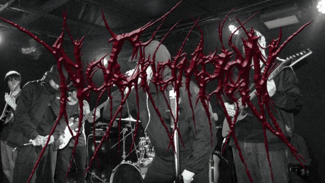 No Champion — Full Set (28.02.2026) First Show