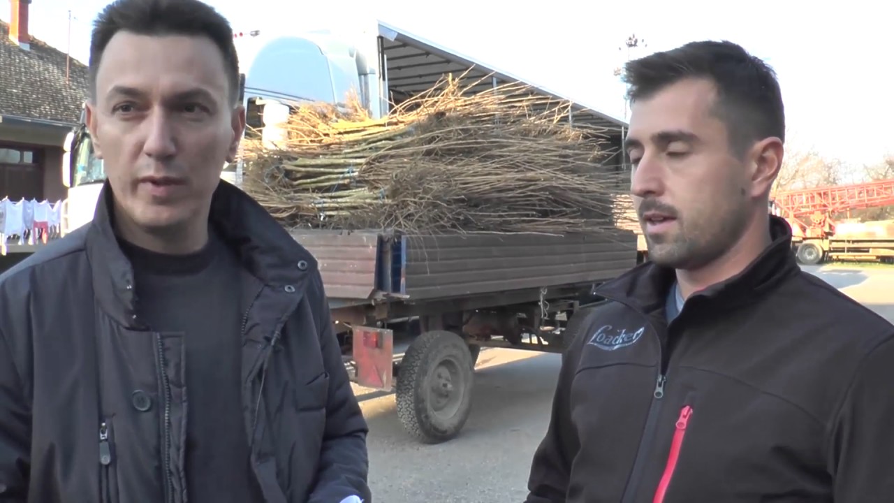 Izvoz lesnika u Italiju 2016. -  2017.  LESKA   -  Dobric