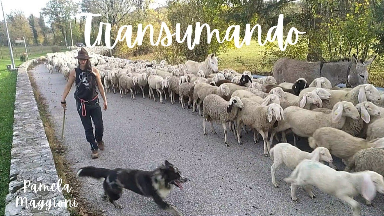 Percorrendo le vie del mondo