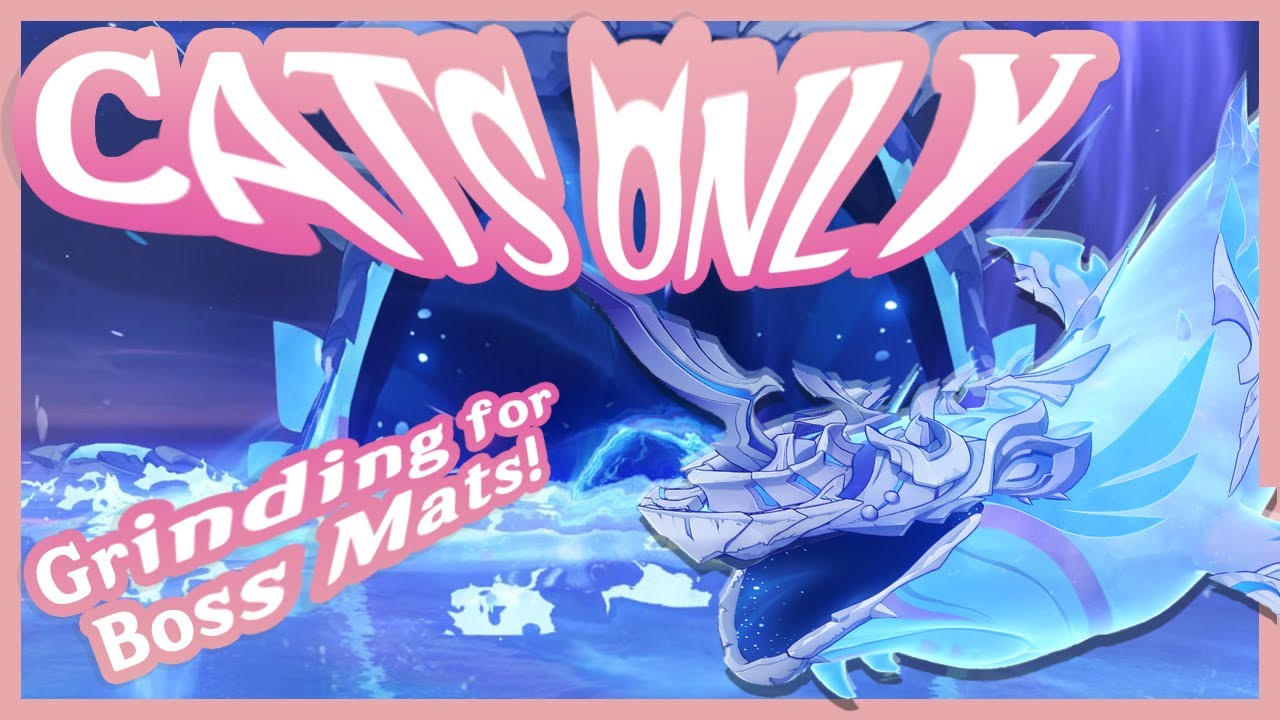 WHALING for CATS | Genshin Impact CATS ONLY