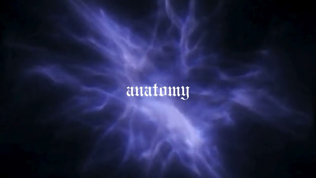 anatomy - kenzie (sped up to perfection)