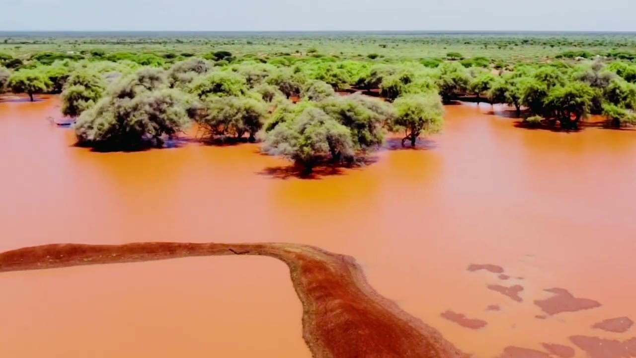 Taallo-buur oo barwaaqo ah
