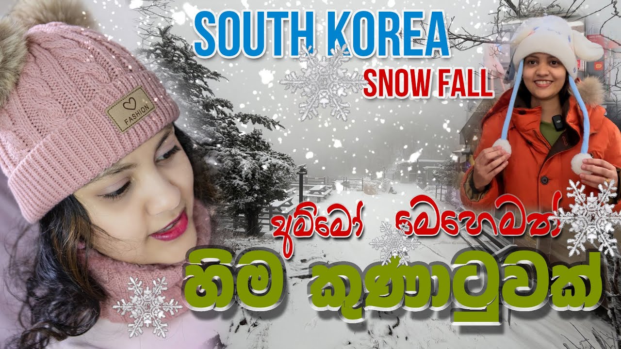 My first snow  experience in Korea ｜ මම මුලින්ම හිම දැකපු දවස