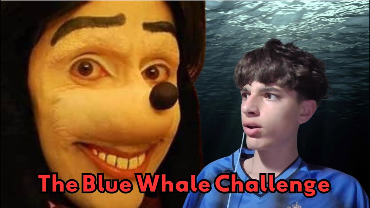 The horrors of the blue whale challenge.