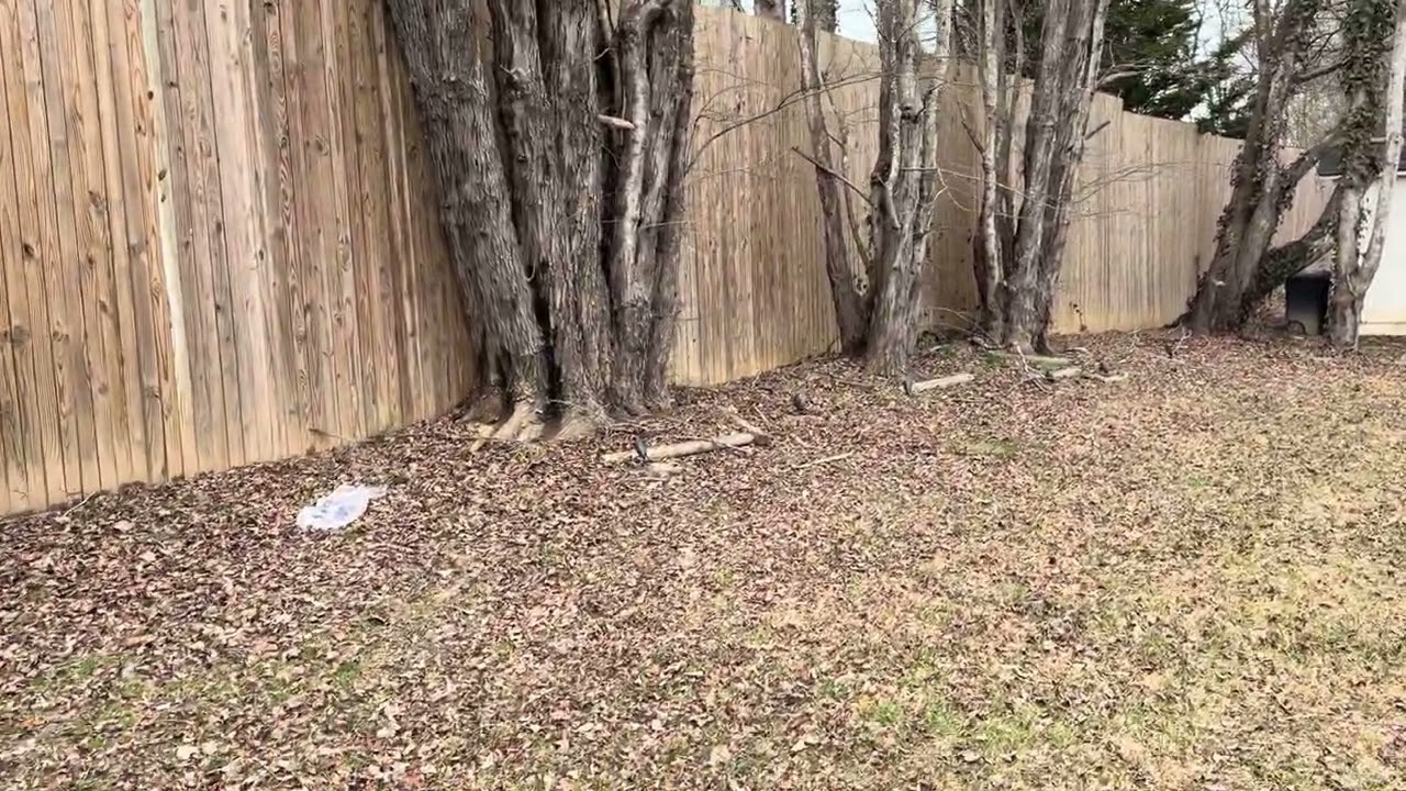 2 Shady Oak Ln- video 2