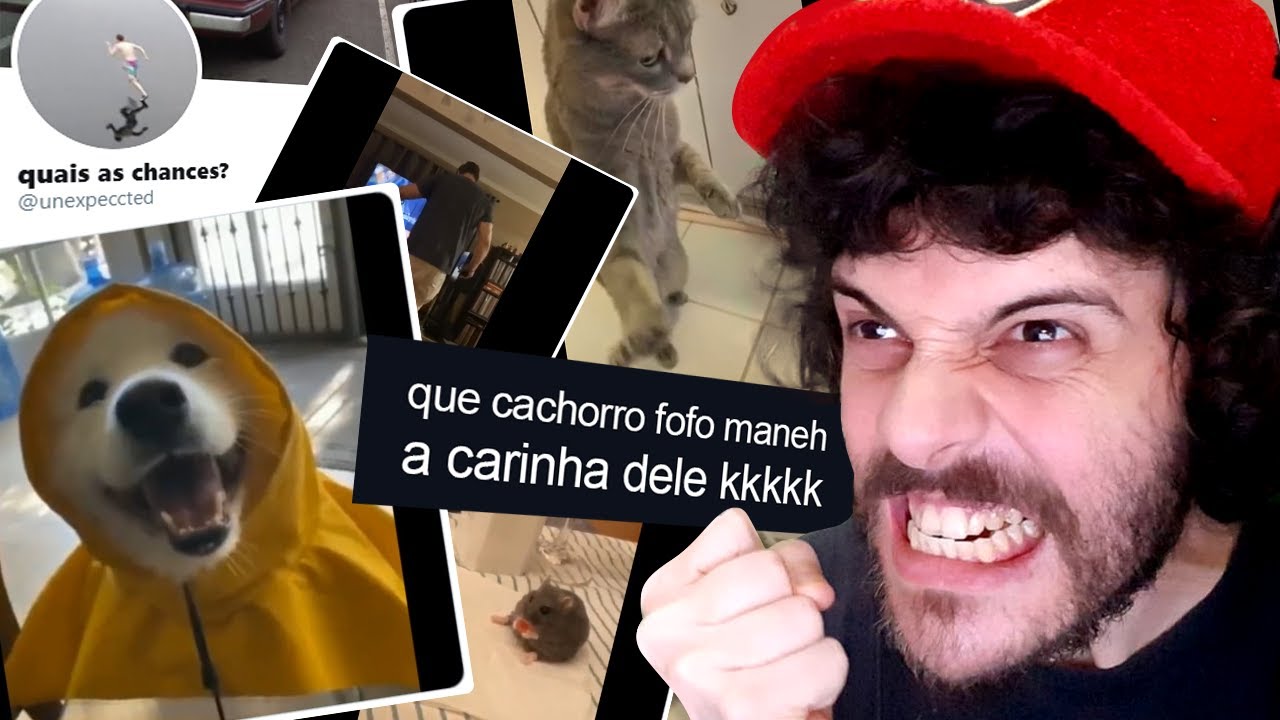 cachorrin fia da p***