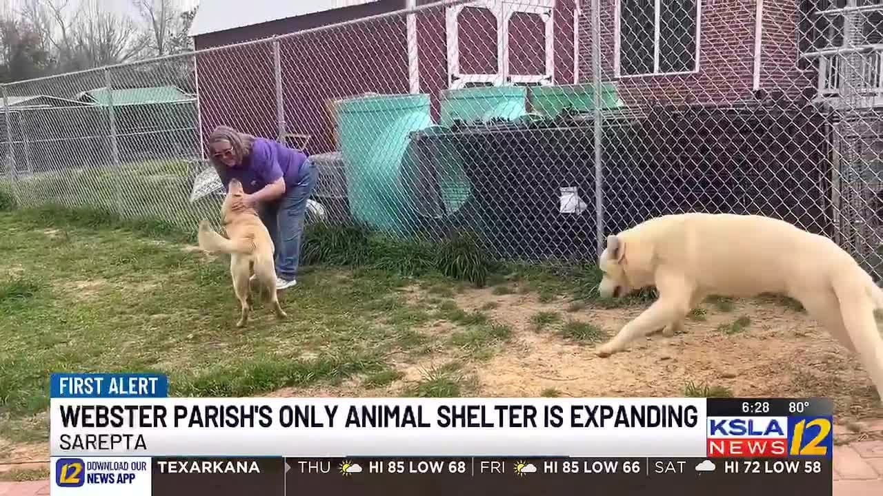 Webster Parish animal shelter marks one year open, adds new surgery clinic