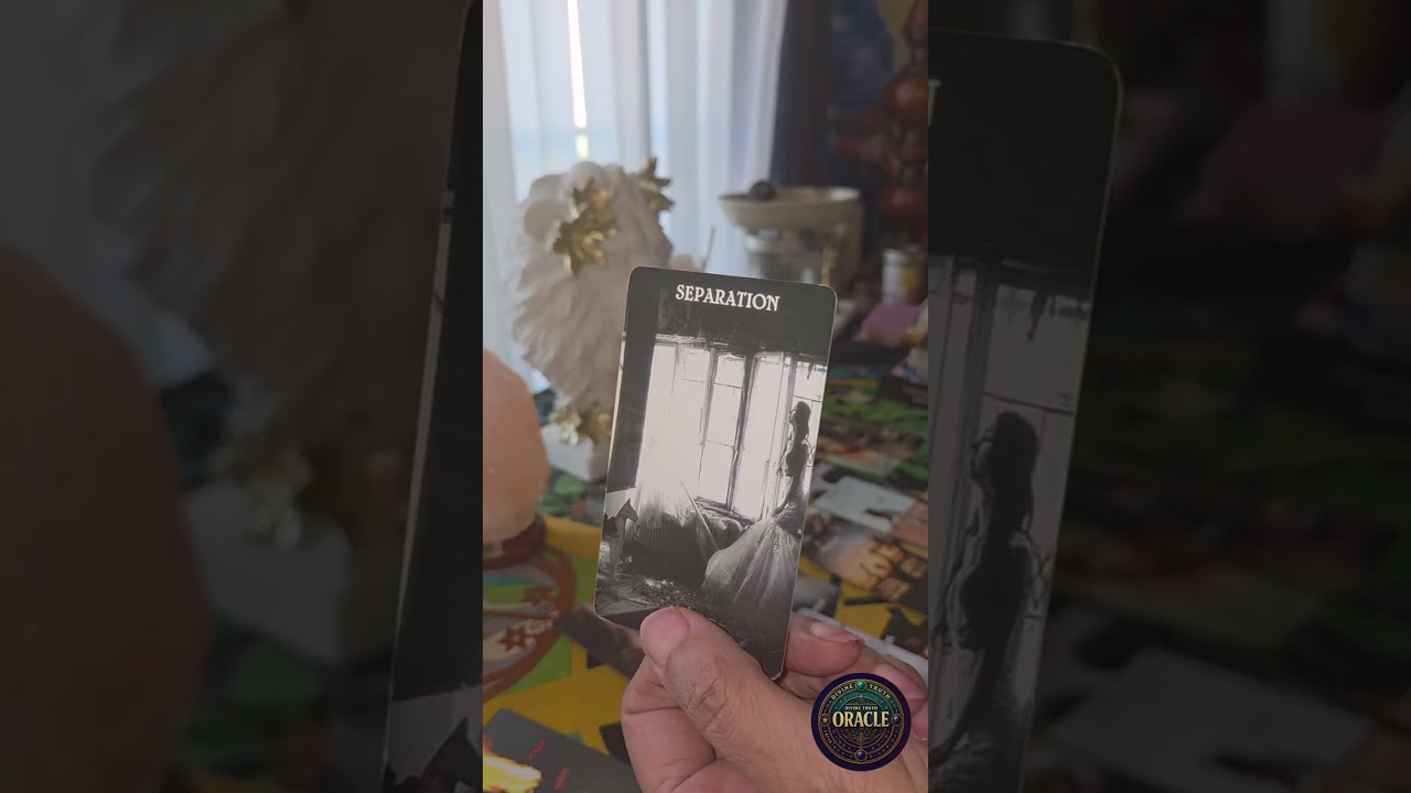 Они в чём-то виновны... И только они знают, в чём именно🤯😱