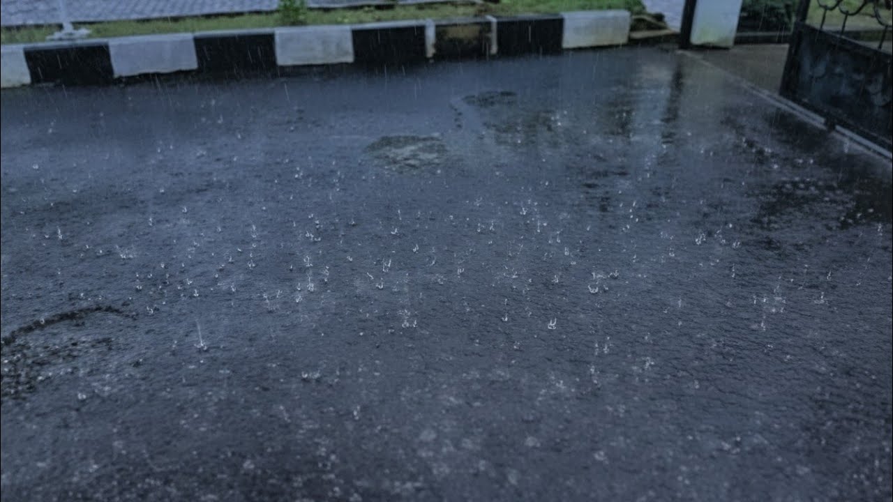Cozy Sound of Rain │ Relax │ White Noise │ Insomnia │ Steady Rain Ambience for Peaceful Nights