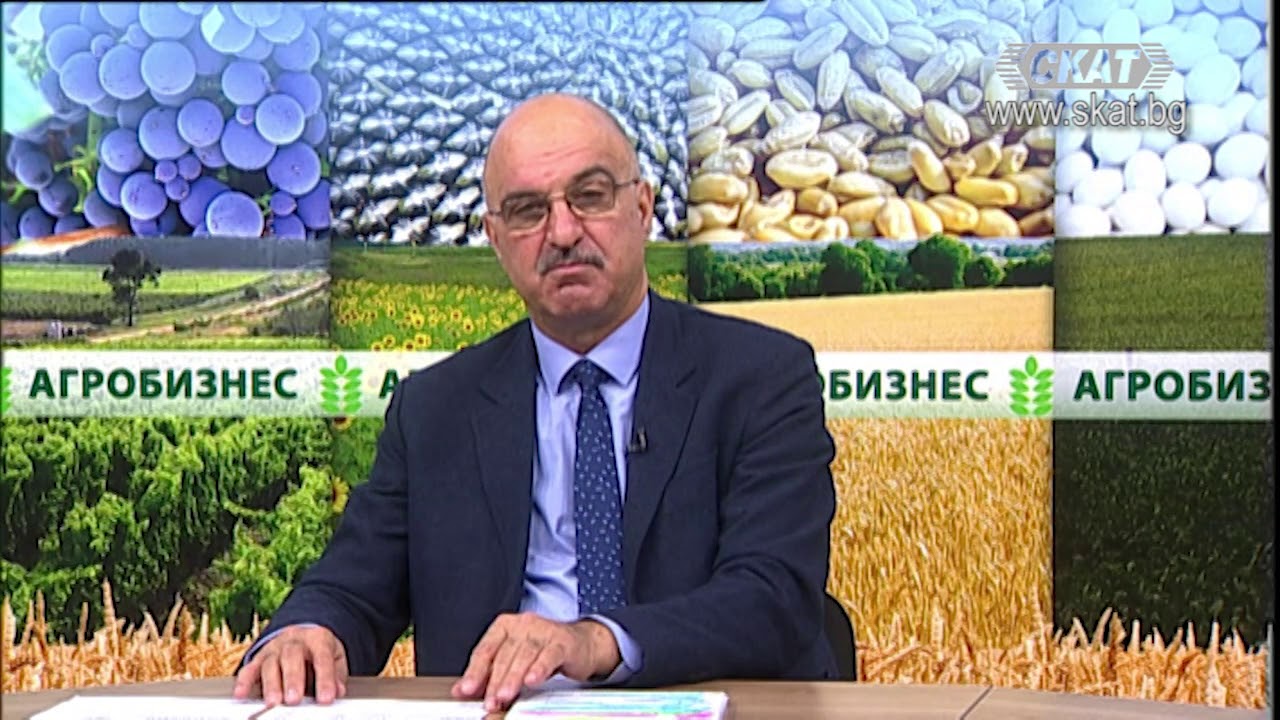 20.12.2020 2 ЧАСТ Имате ли #български #фъстъци, #орехи или #бадеми?