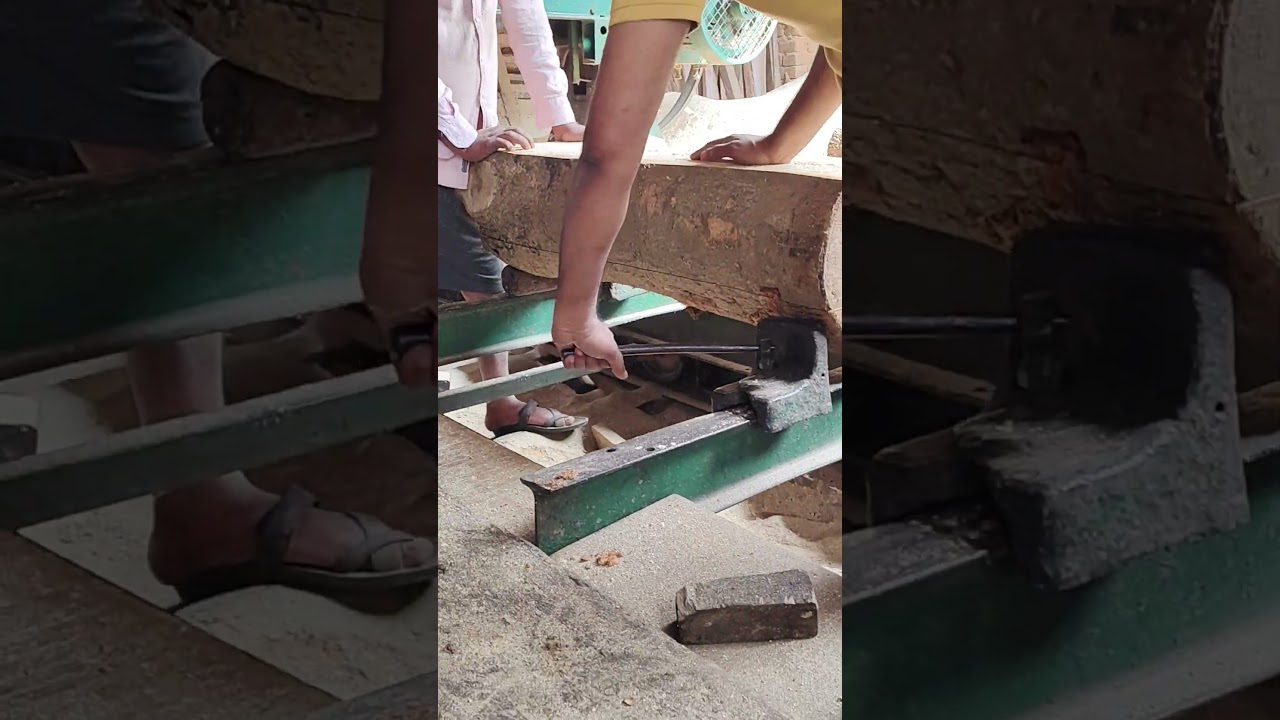 construction of wood processing factory #asmr #sawmill #process #wood
