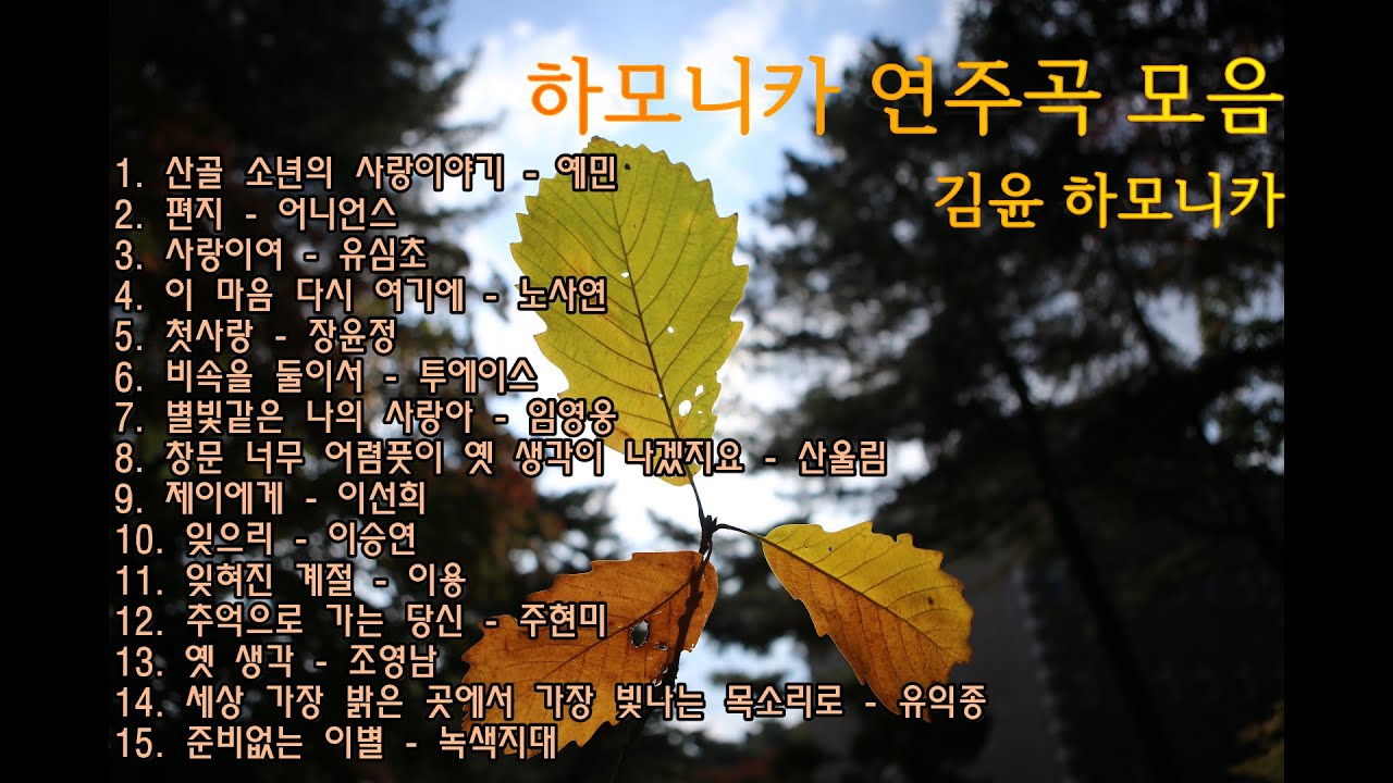 이 가을에 딱 어울리는 1시간 하모니카 연주곡 / 가요