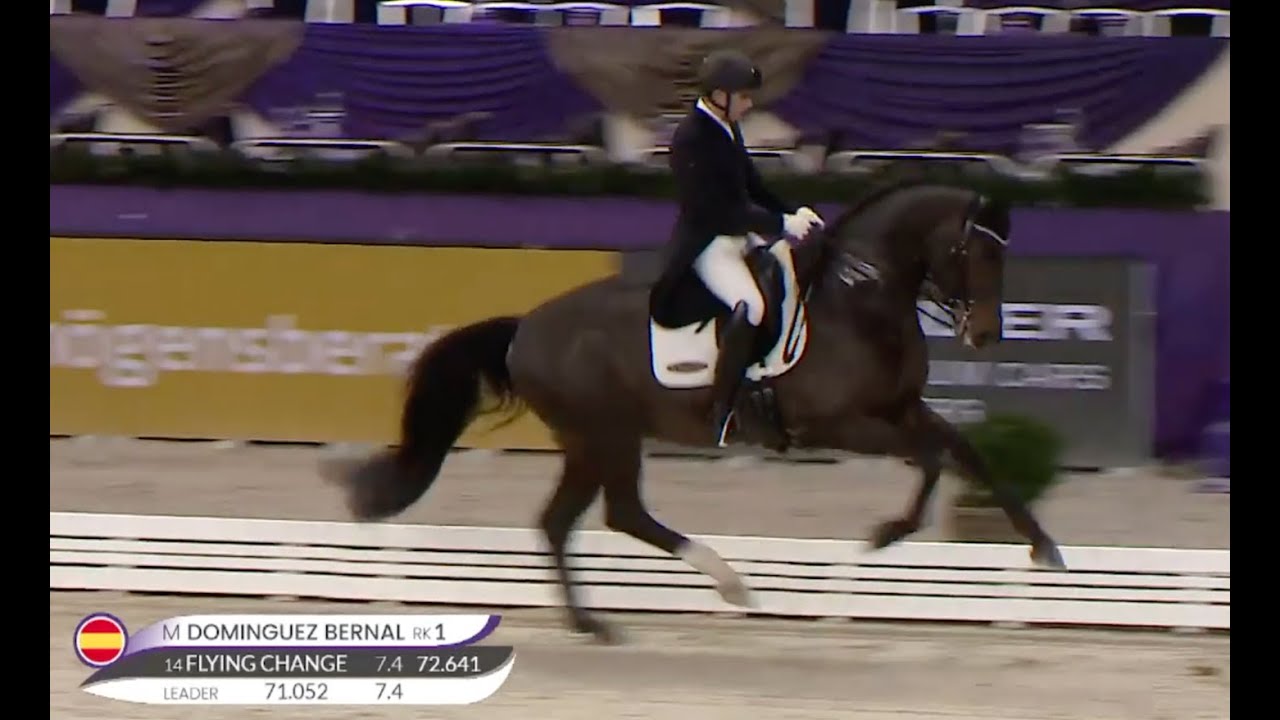 Escamillo Prix St George dressage, Frankfurt