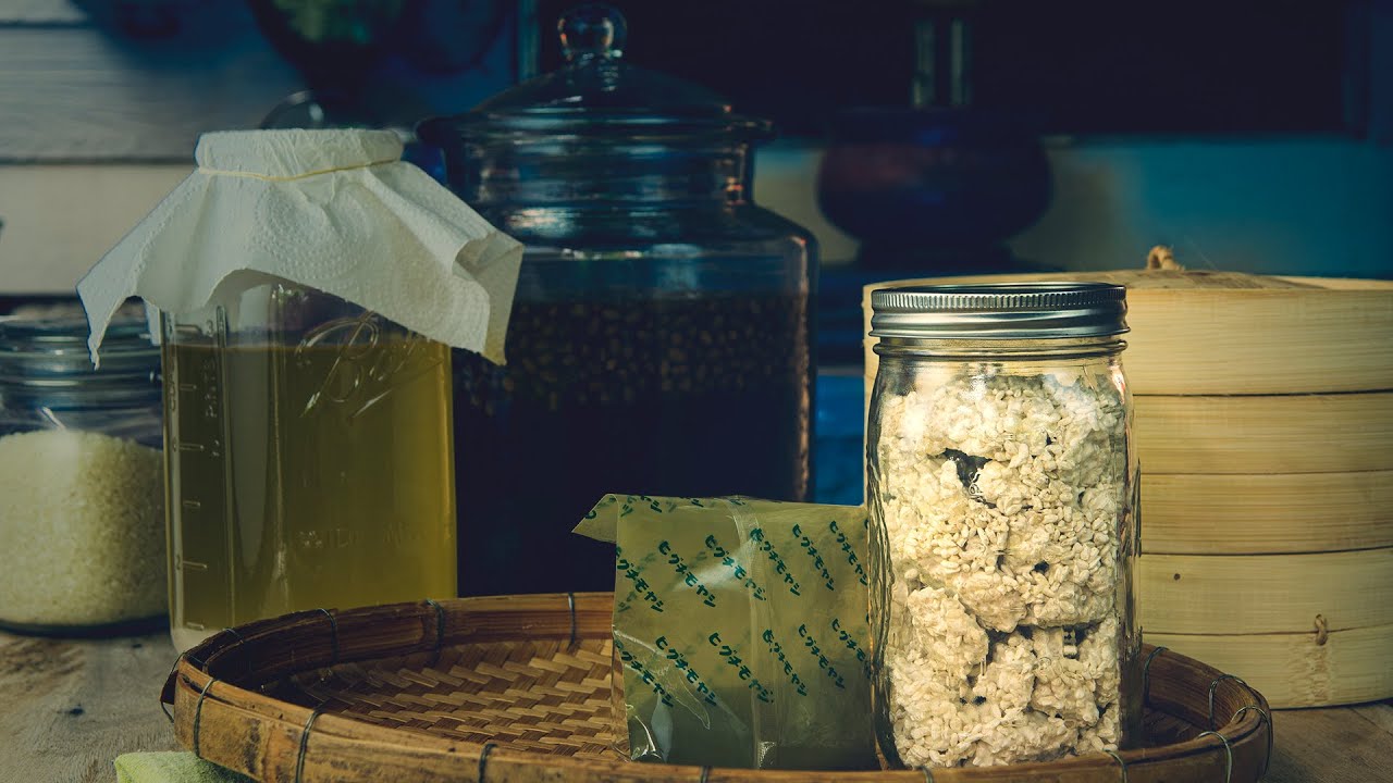 KOJI REIS selber machen - Dein Starter für Miso, Shio Koji, Reisessig