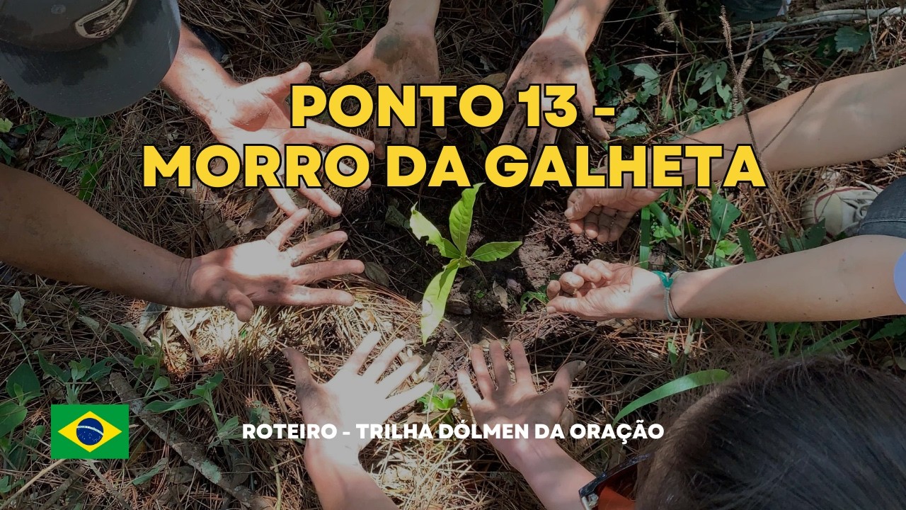 🌿 Morro da Galheta — memória ancestral e restauração da natureza 🌿