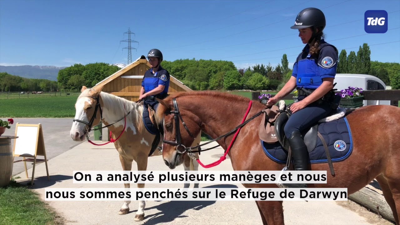 Lancement de la brigade équestre de la police genevoise
