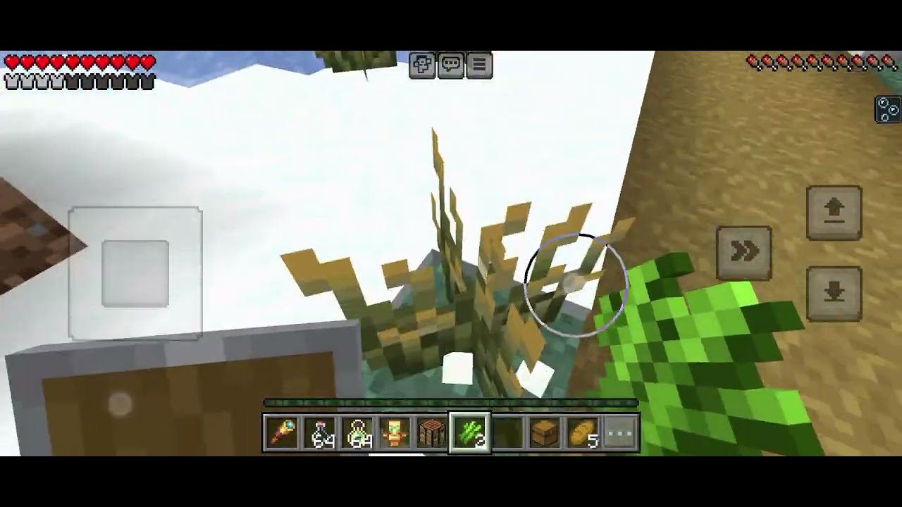 Minecraft Tapi aku di rumah kosong