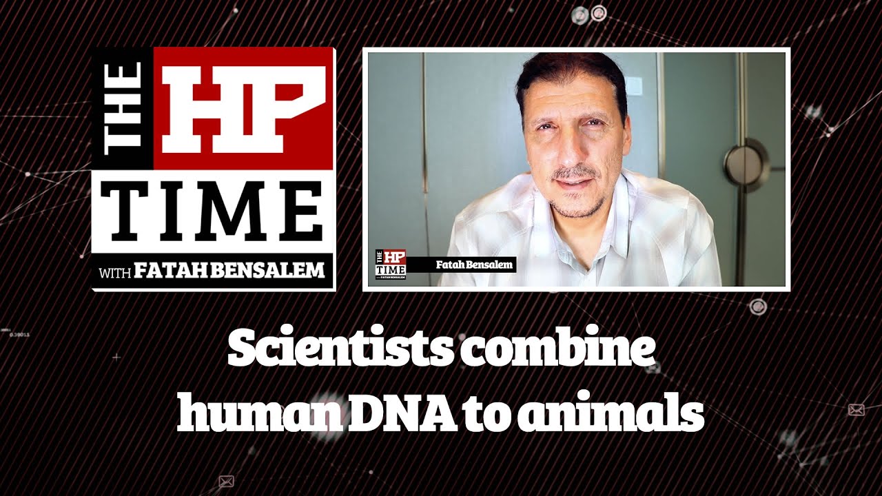 Scientists combine human DNA to Animals - The HP Time with Fatah Bensalem