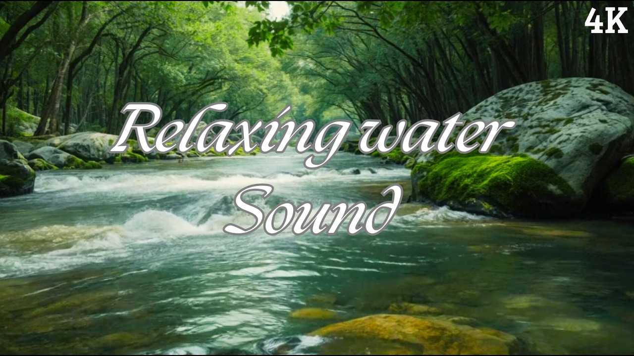 Forest River Sounds 🌿 Crystal Clear Stream & Mossy Rocks for Deep Sleep