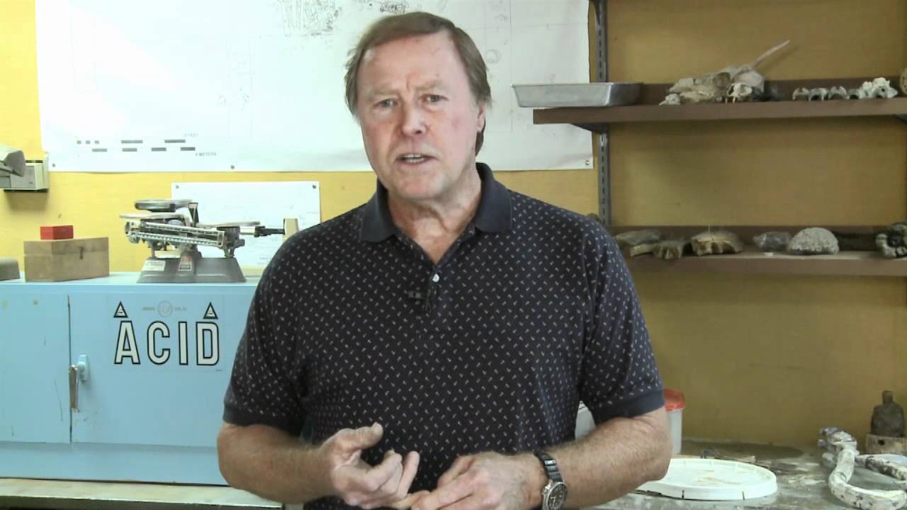 N.C. Historic Sites: CSS Neuse Restoration