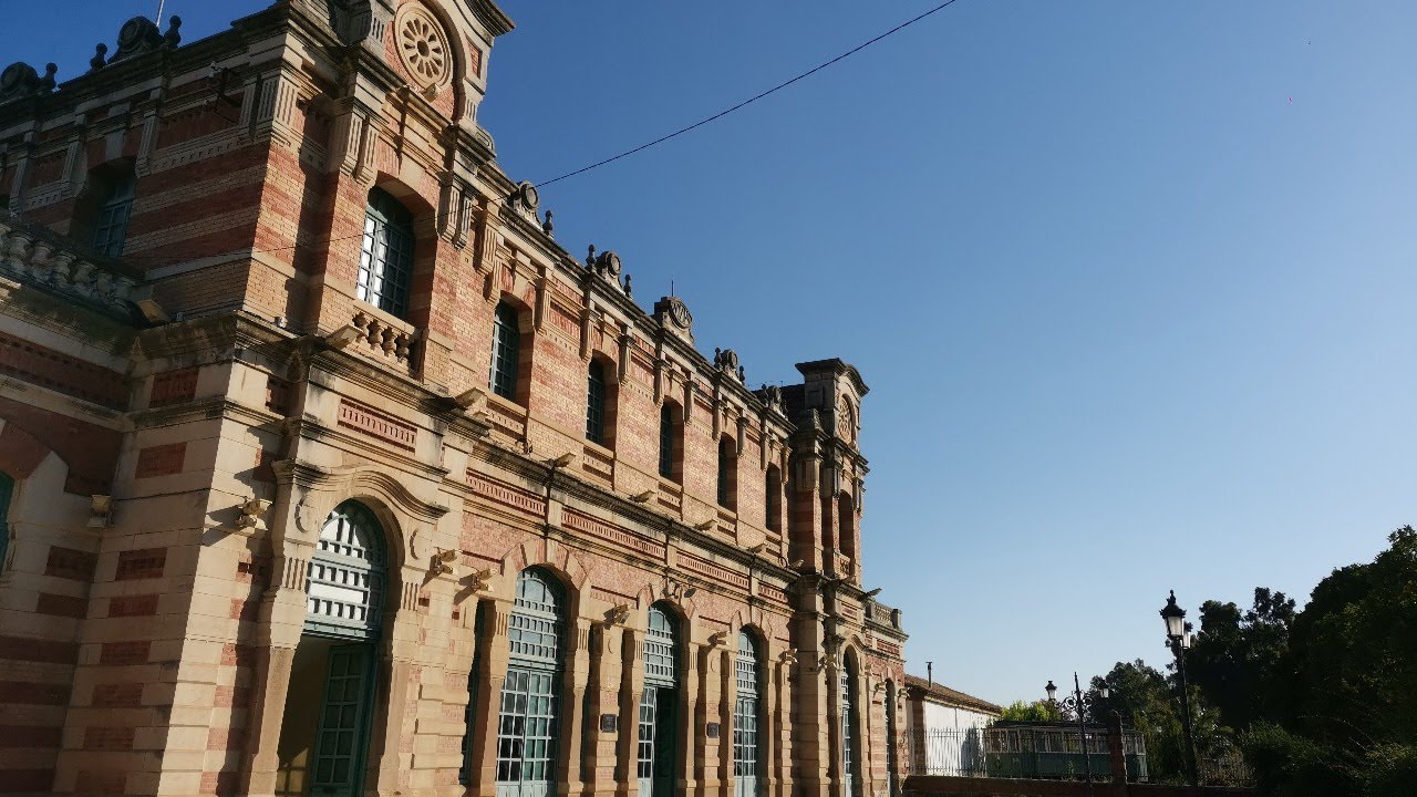 Pleno Municipal del Ayuntamiento de Linares.