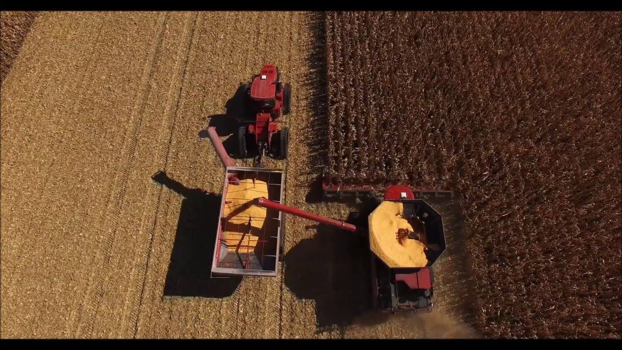 Floyd Iowa 2016 Corn Year