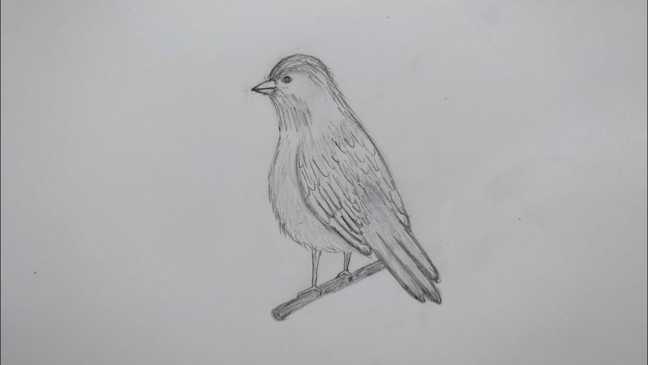 Karakalem İle Serçe/Kuş Çizimi - How To Draw A Sparrow/Bird