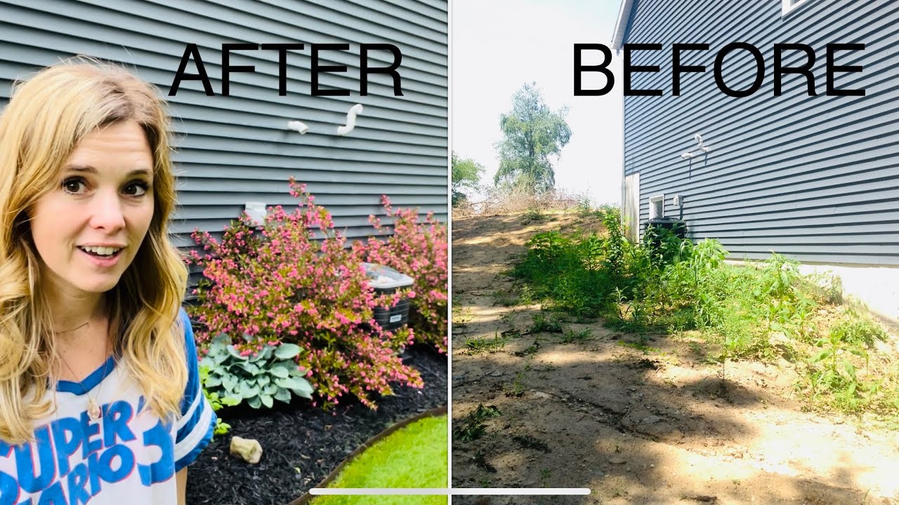 PW Wine and Roses Weigela in bloom! before and after garden bed through the years :)