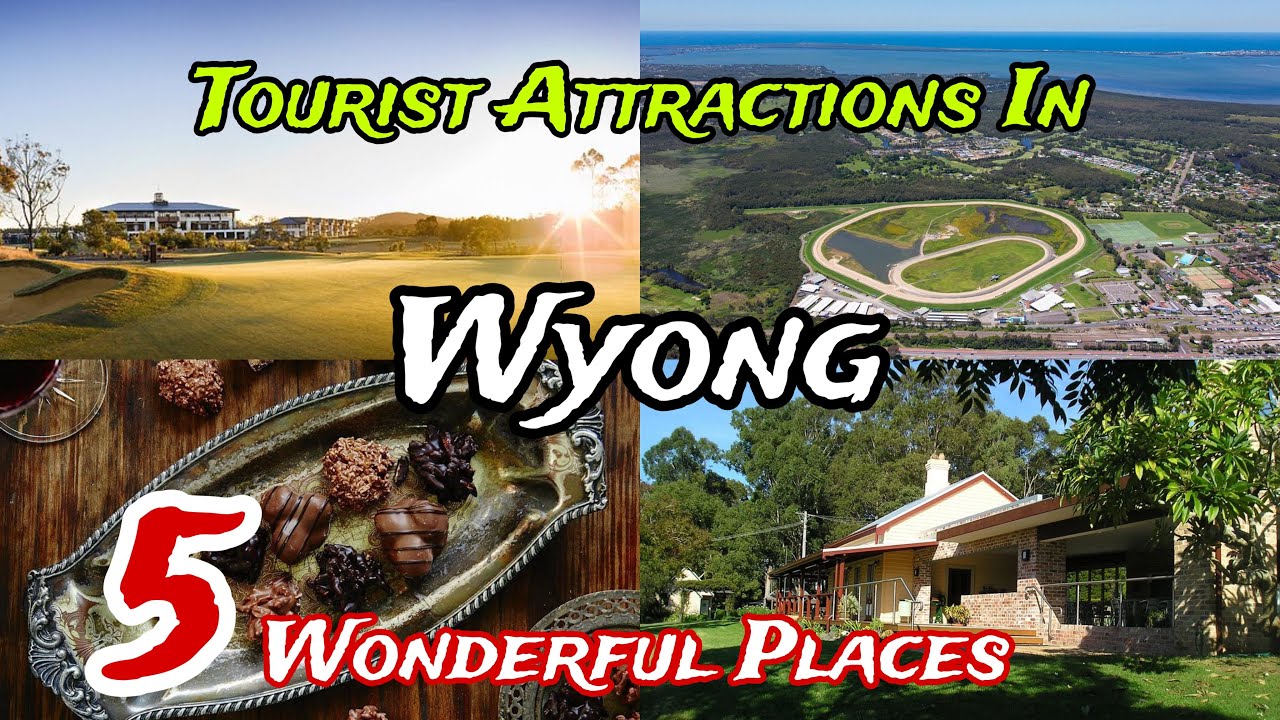 Top 5 Best Tourist Places to Visit in Wyong 😍 | Australia 🇦🇺 | New South Wales
