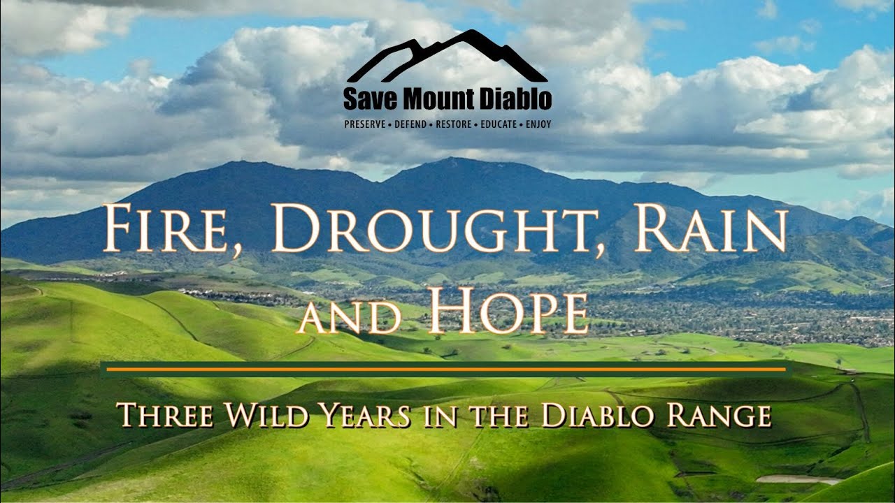 Fire, Drought, Rain and Hope: Introduction