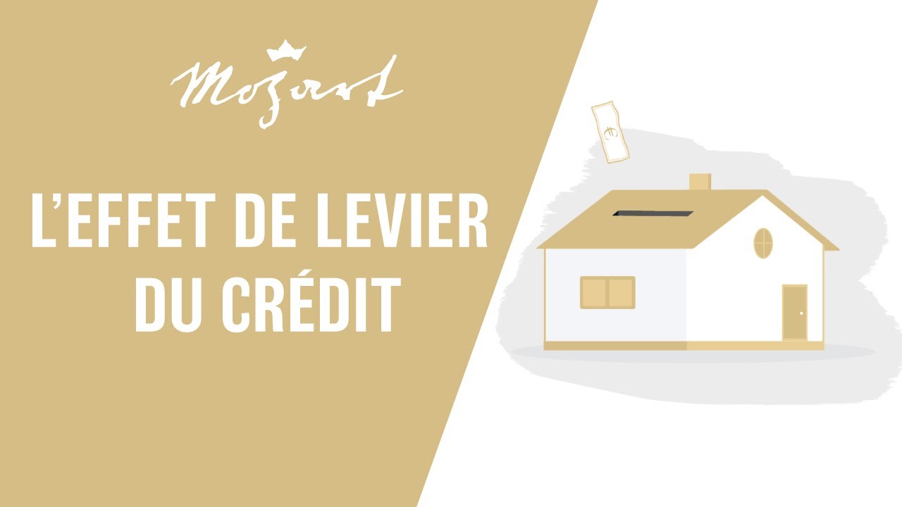L'effet de levier du crédit ou comment s'enrichir en empruntant ?
