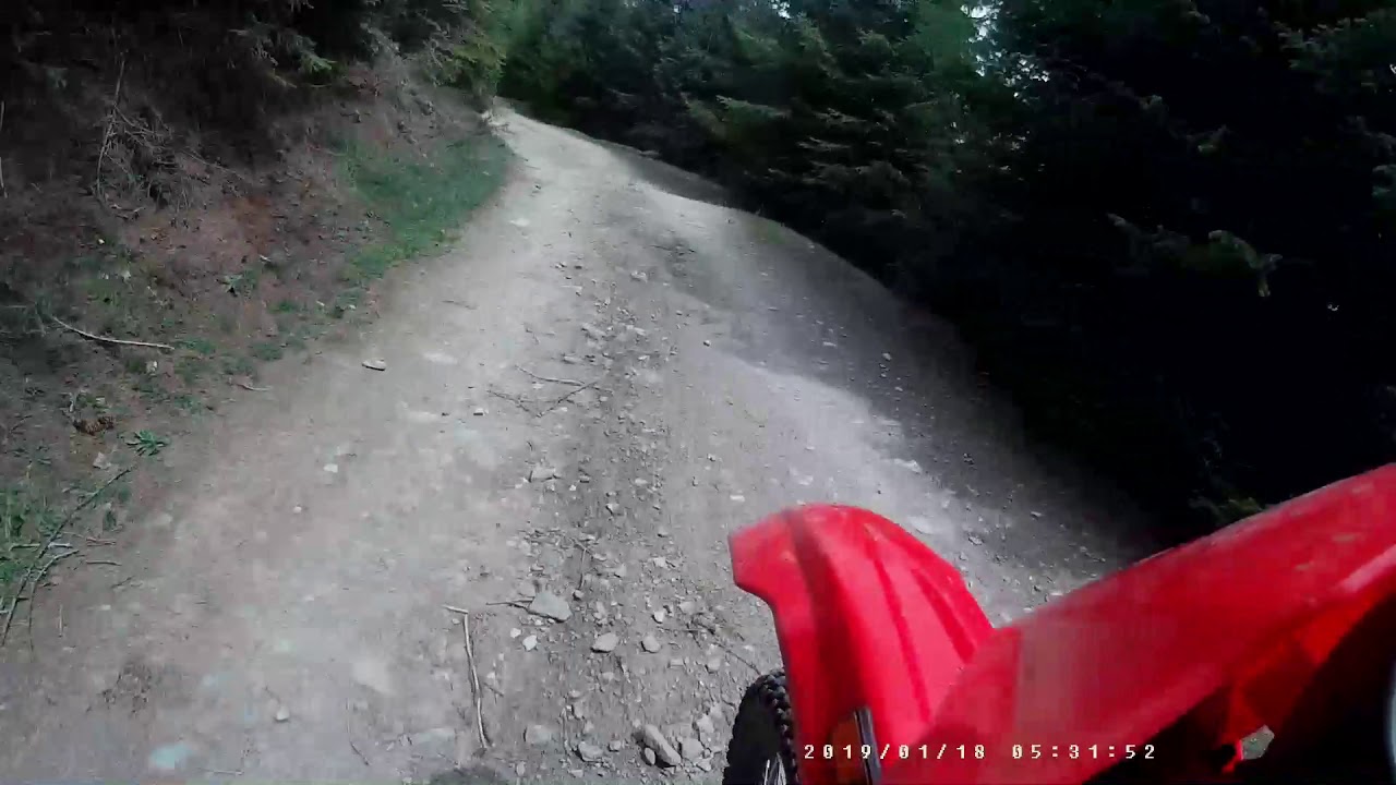 Motocross Zedlacher Paradies
