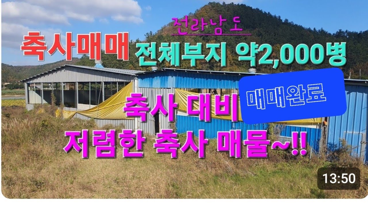 신성티브이tv[축사매매]((매매완료))염소 축사매매 평수 시설대비 저렴한 축사가 나왔네요 ^^  #축사매매 #염소축사 #흑염소축사 #매매 #염소 #흑염소