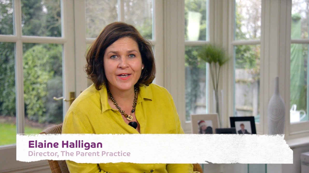 The Parent Practice, Temperament - do you understand your child´s?