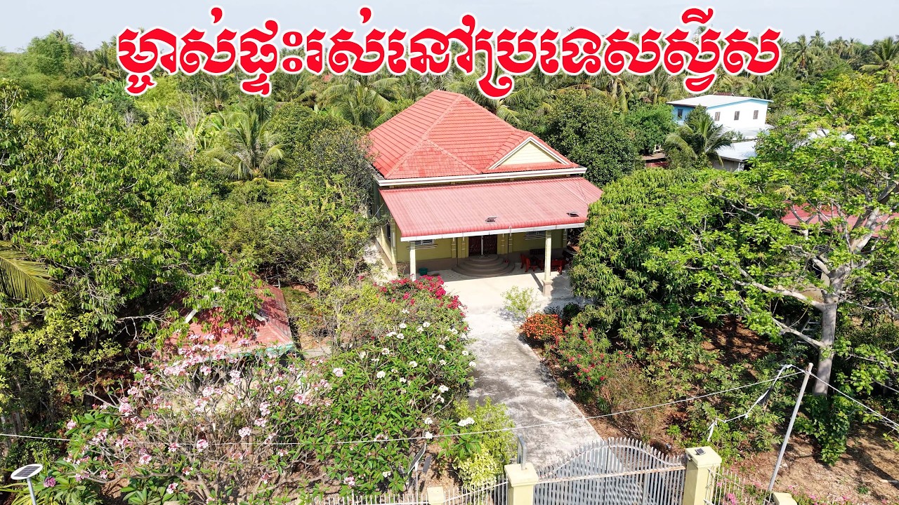 ទិដ្ឋភាពទីទួលប្រាសាទ និងទិដ្ឋភាពភូមិសាស្ត្រជុំវិញទួលប្រាសាទ