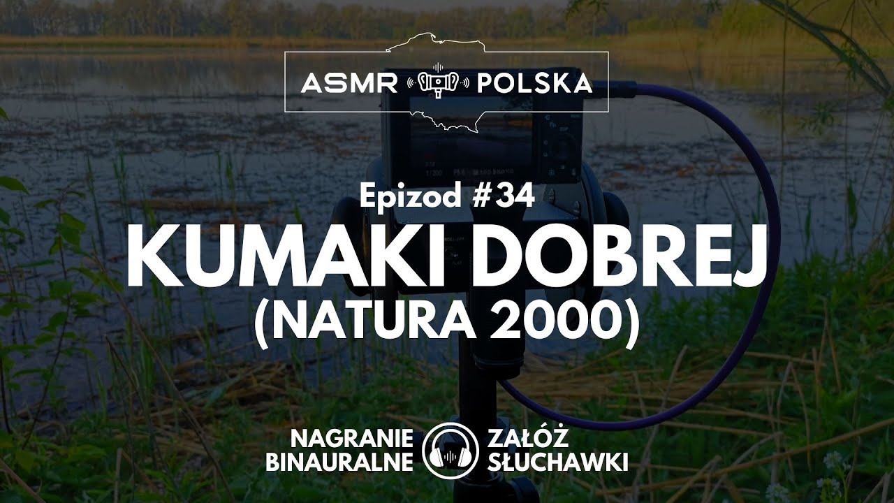 ASMR Polska #34: Obszar Kumaki Dobrej (Natura 2000) - rechot kumak&oacute;w, dźwięki natury