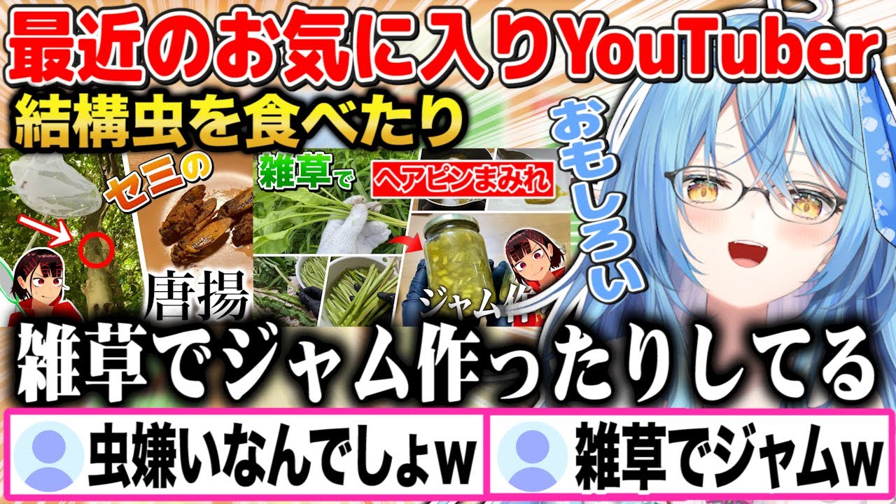 最近のお気に入りYouTuber「ヘアピンまみれ」を布教する雪花ラミィｗ【切り抜き/ホロライブ】