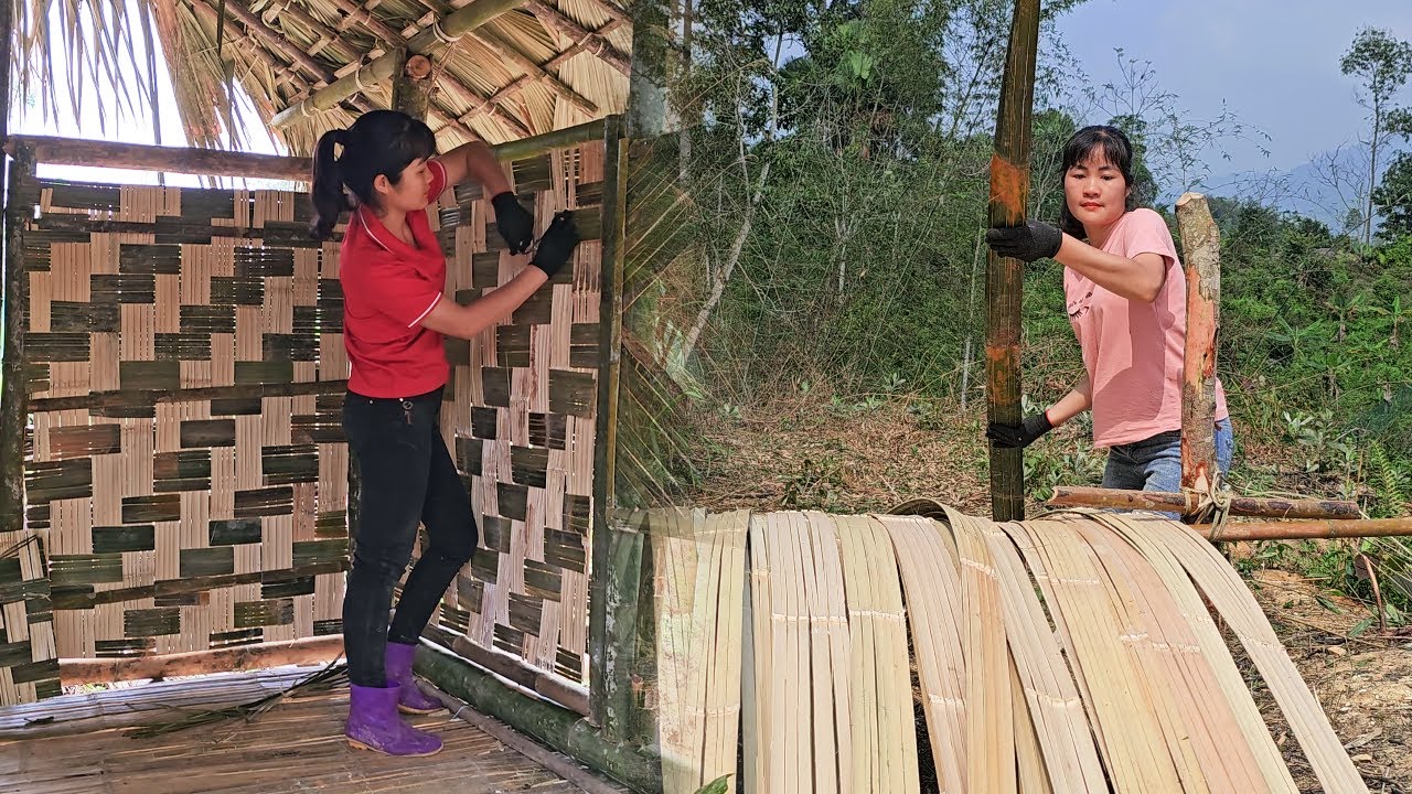 Vietnam Off Grid Living : Girl’s Survival Challenge -Building a Shelter in the Wilderness