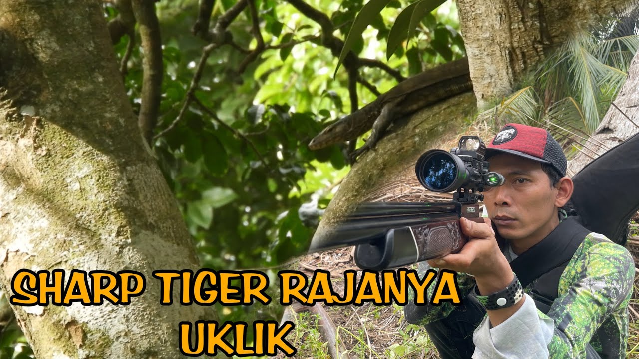 Spot lama serasa spot baru nemu. Buruannya melimpah Uklik jahat beraksi lagi