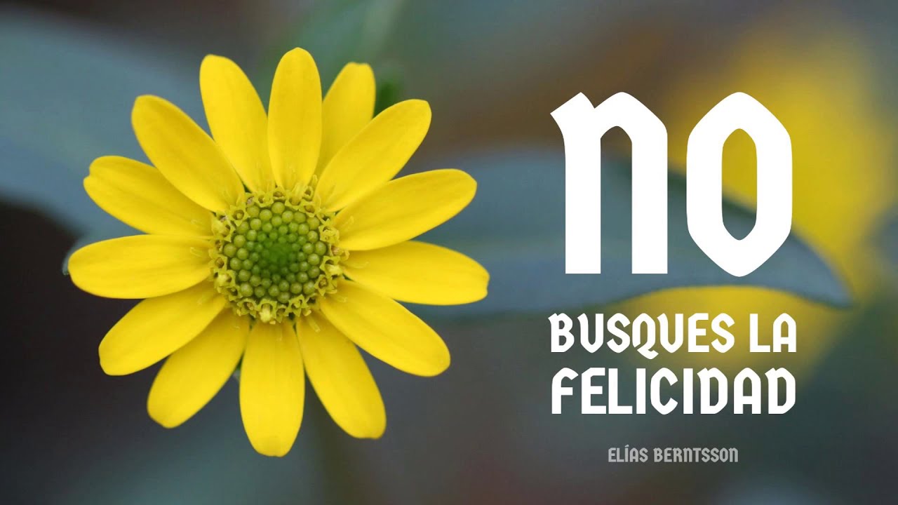 No Busques la Felicidad - Desapégate de Todo - Por Elías Berntsson