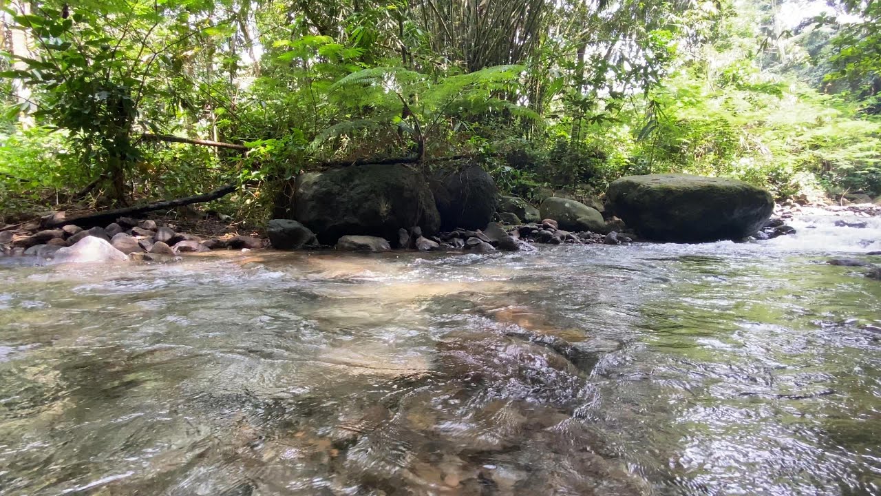 Peaceful River Water Flow for Deep Sleep and Relaxation 3 Hours