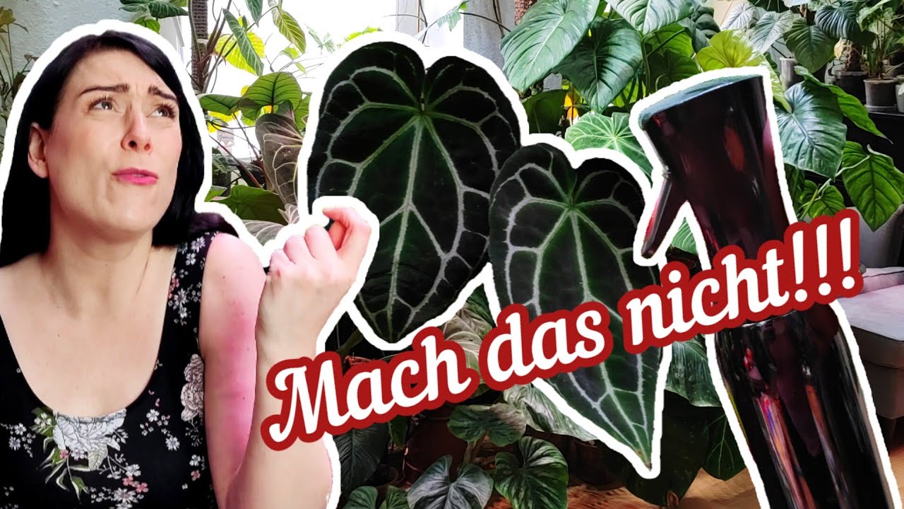 Falsche Tipps die deine PFLANZE TÖTEN! Was du stattdess tun solltest
