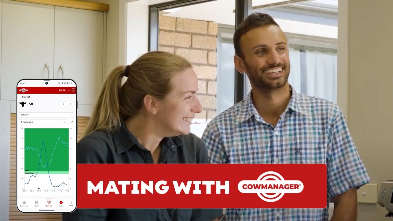 Transforming Mating Season with Technology | Episode 3: Mating with CowManager