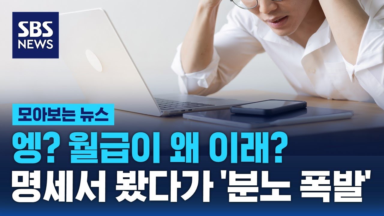 전 국민이 당하고 있다&hellip;급여 명세서 봤다 '분노 폭발' / SBS / 모아보는 뉴스