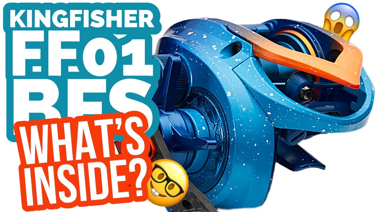 🤓TEARDOWN😱KINGFISHER FF01!!!