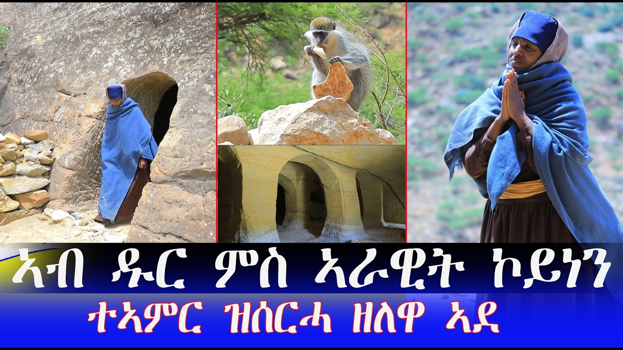 #ሓዱሽ #ተኣምራዊ #ገዳም ድምፂ ኣራዊትን ናብራ ኣብ ዱርን መሪፀን ኣብታ ዘለወኣ ኾይነን ንዓለም ዘገርም ስራሕ ዝሰርሓ ዘለዋ ወላዲትና እሞሆይ ወለተስላሴ